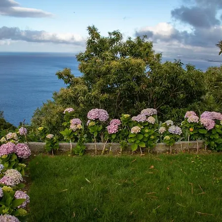 דירה Oasis Fonte Grande Santo Antonio (Sao Miguel)