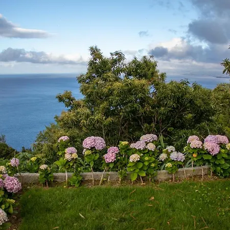 Apartament Oasis Fonte Grande Santo Antonio (Sao Miguel)