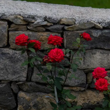 Oasis Fonte Grande * Santo Antonio (Sao Miguel)