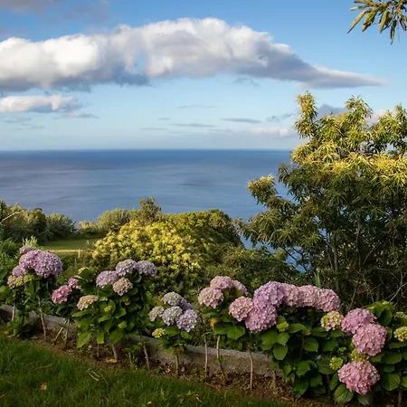 Apartament Oasis Fonte Grande *